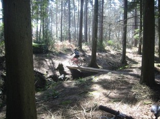 Bedgebury Forest Bike Trails
